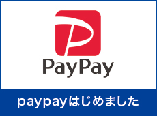 paypay͂߂܂